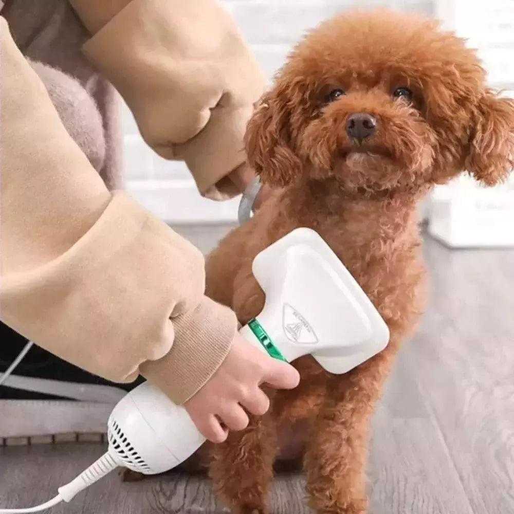 PetGlow-Secador y Cepillo de Pelo para Mascotas 2en1